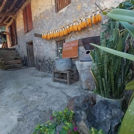 Trieu Hoan Homestay カオバン エクステリア 写真