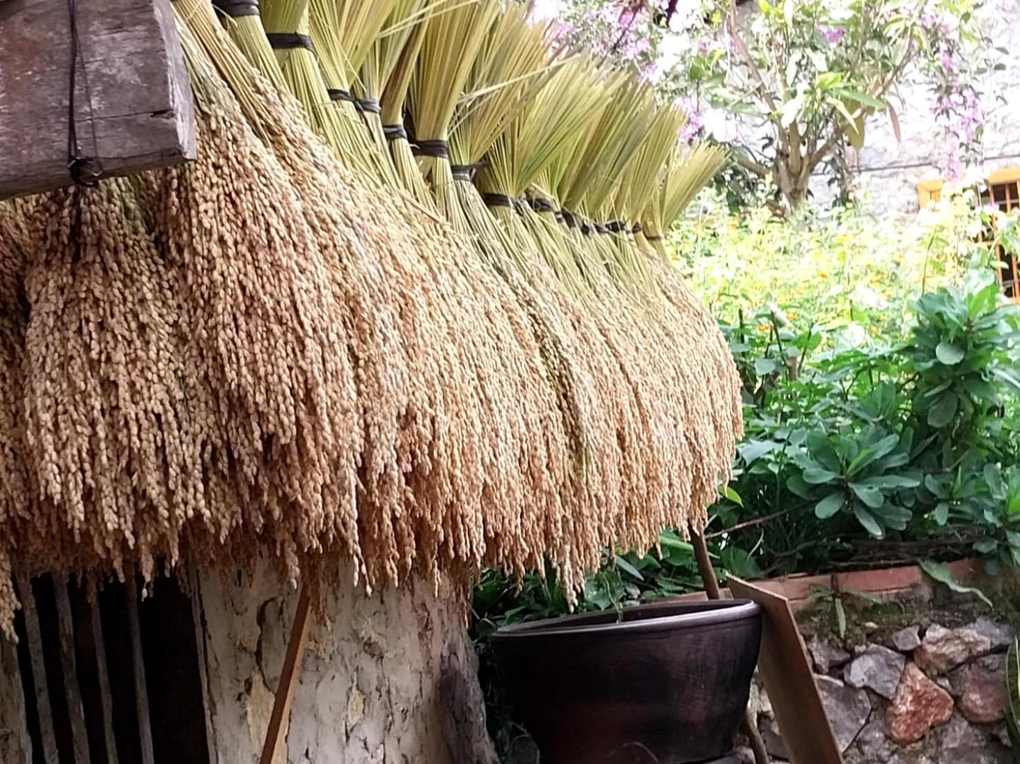 Trieu Hoan Homestay カオバン エクステリア 写真